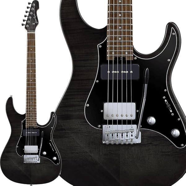Amazon.co.jp: エレキギター GrassRoots G-HORIZON-FR Black グラス